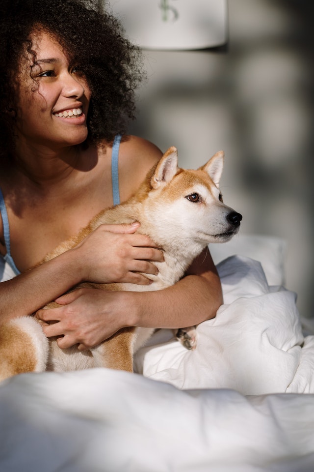 Comment nous aimons nos animaux de compagnie ?