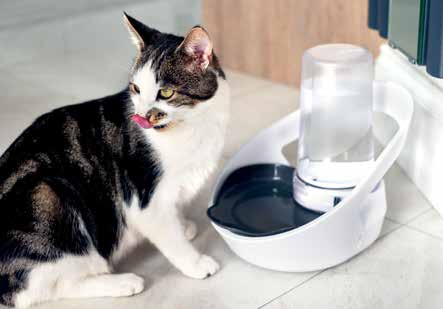 Une façon intelligente de suivre la consommation d&rsquo;eau des chats