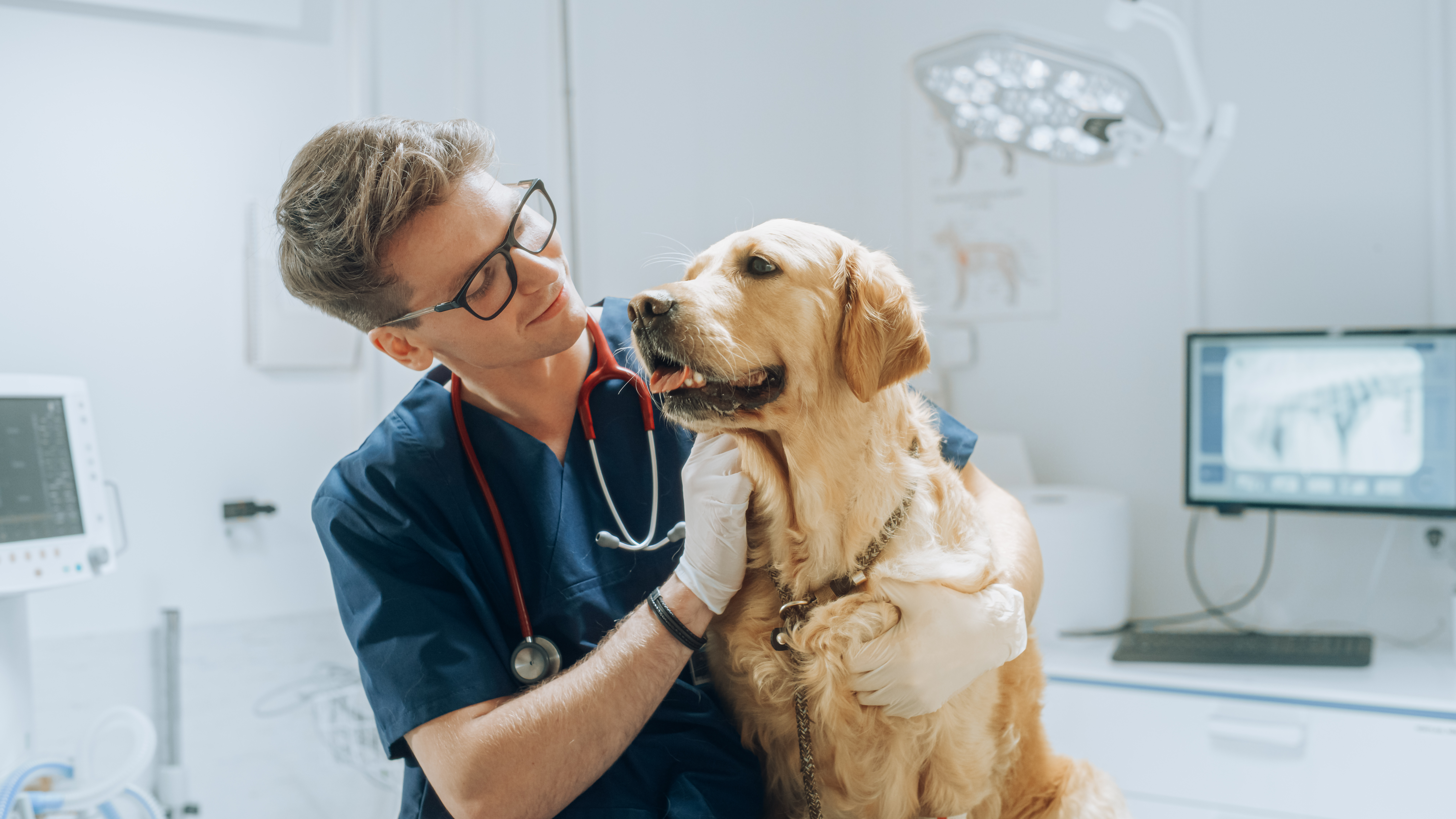 MSD Santé Animale organise un symposium mondial de formation continue sur la vaccination des animaux de compagnie