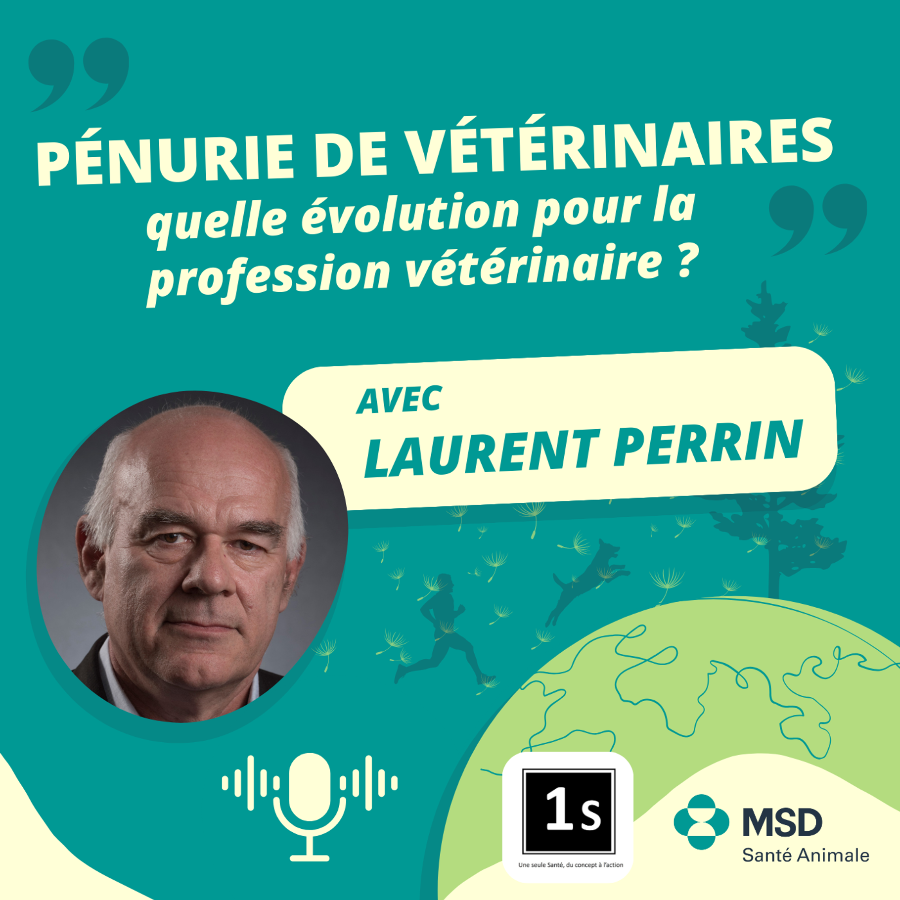 Comment résoudre la pénurie de vétérinaires ?