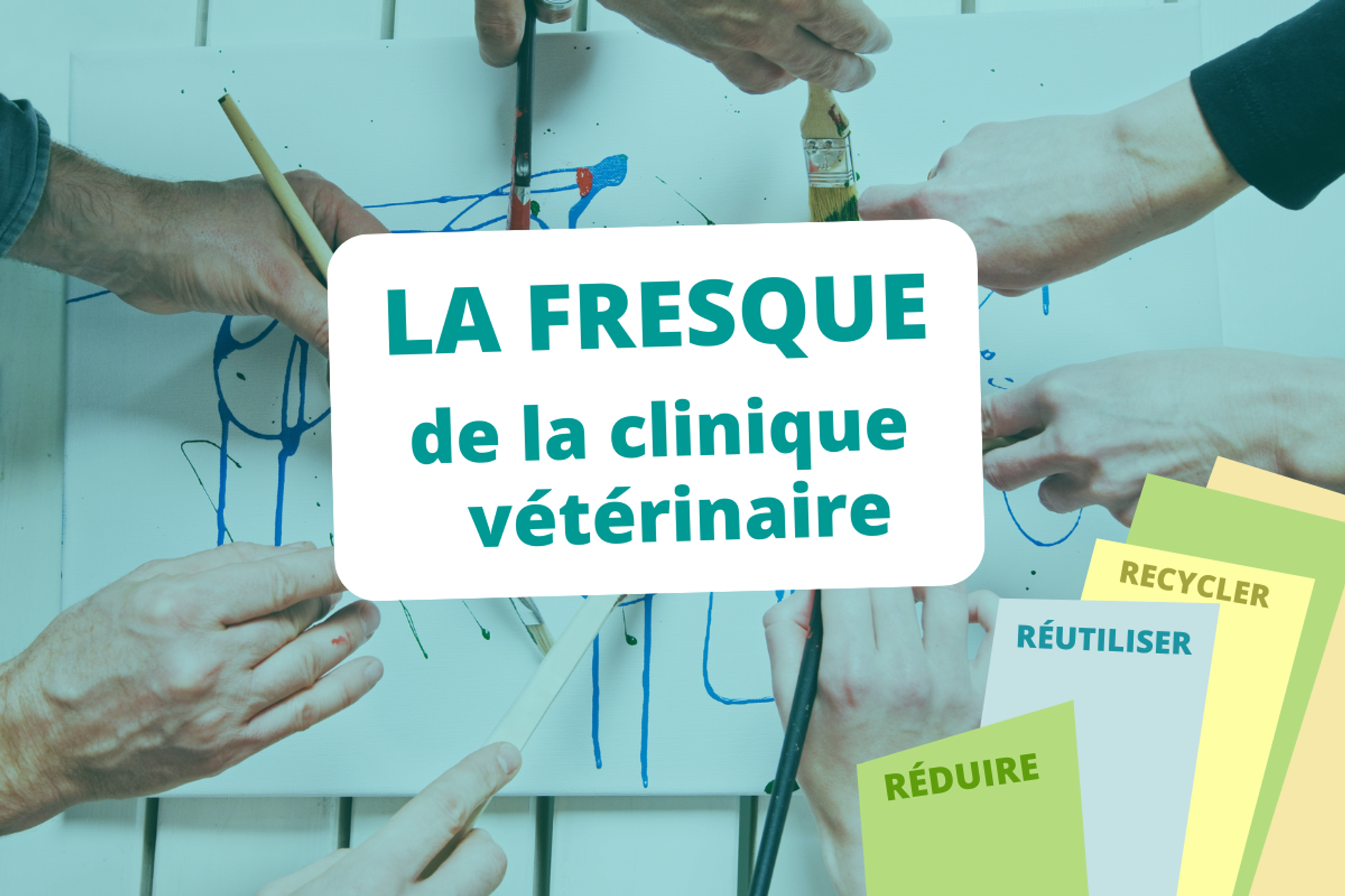 Ecoresponsabilité : la fresque de la clinique vétérinaire