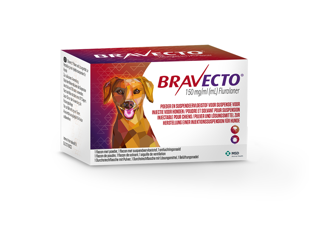 Emballage Bravecto Chien Boîte de médicament Bravecto pour chiens sur fond blanc.