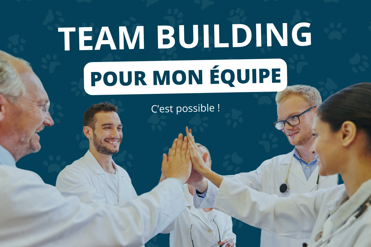 Opération team building pour votre équipe vétérinaire !