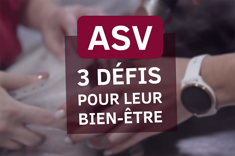 3 défis à relever pour le bien-être de vos ASV