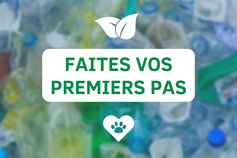 4 initiatives pour une clinique vétérinaire éco-responsable