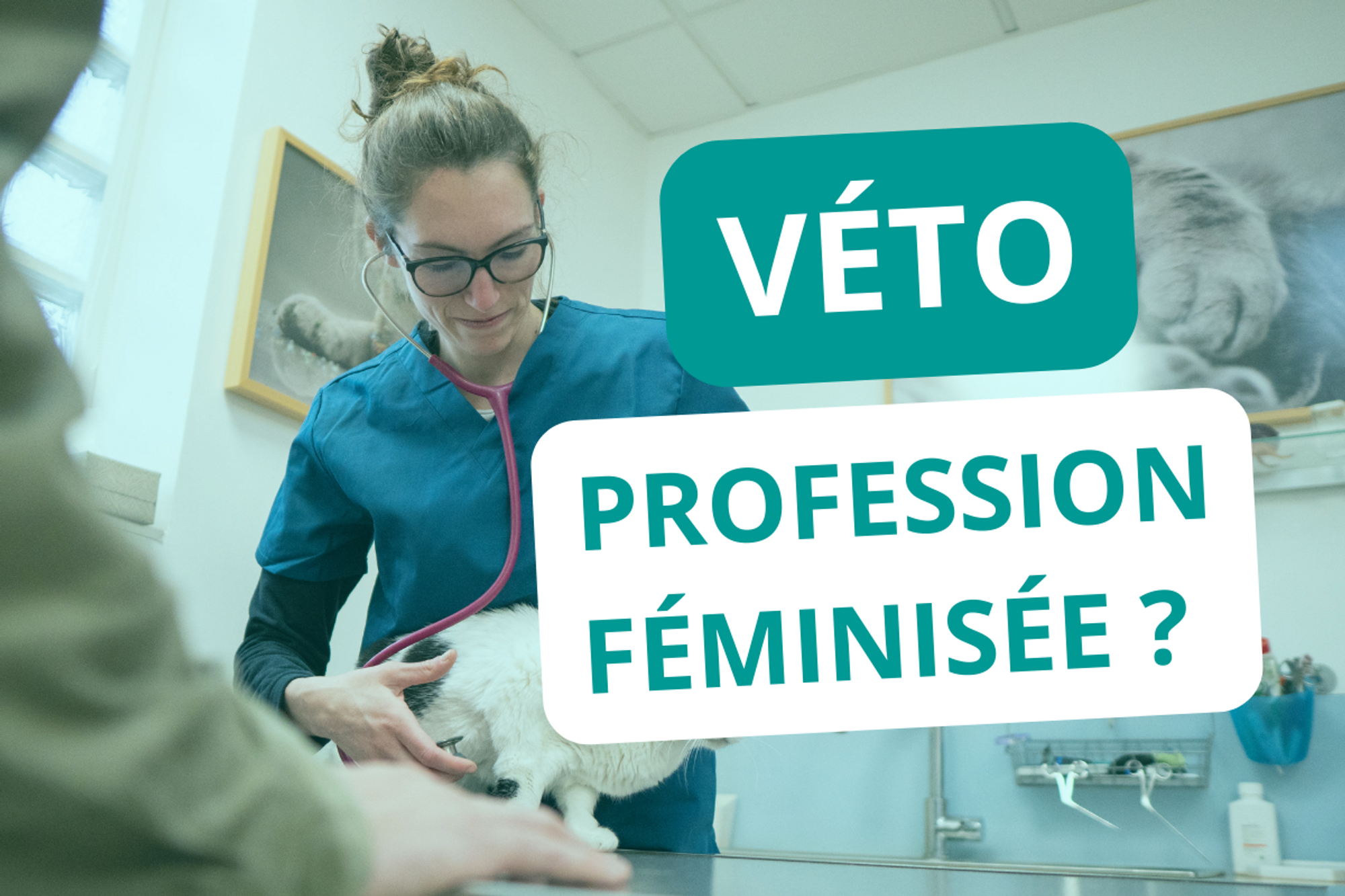 Féminiser l’exercice professionnel