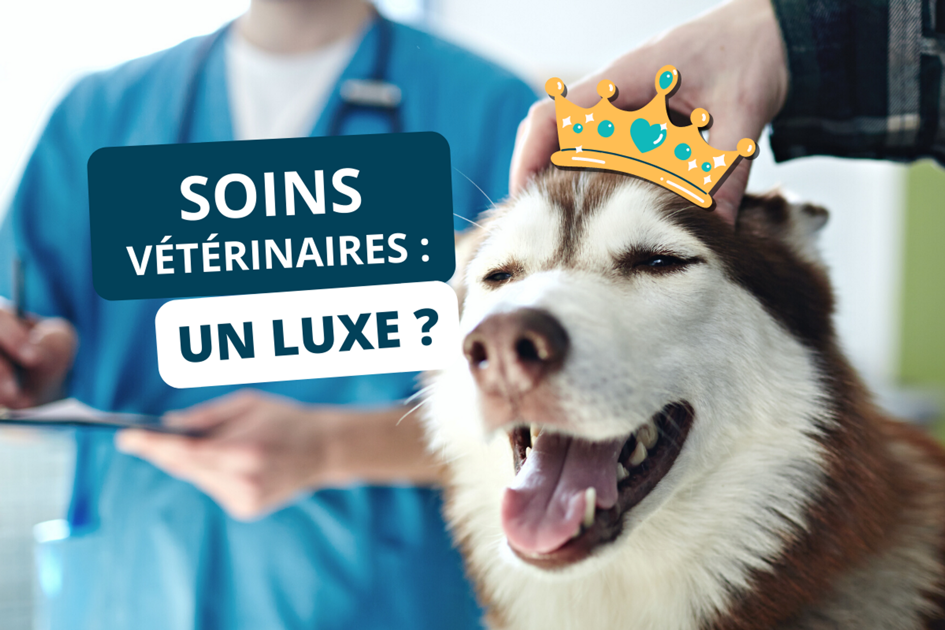 Les soins vétérinaires deviennent-ils un luxe ?