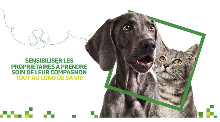 MSD Santé Animale lance sa campagne « Tout au long de sa vie » pour continuer de soutenir l’activité des vétérinaires !