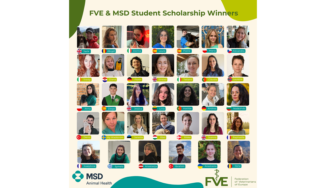Visuel des lauréats de la bourse étudiante FVE et MSD