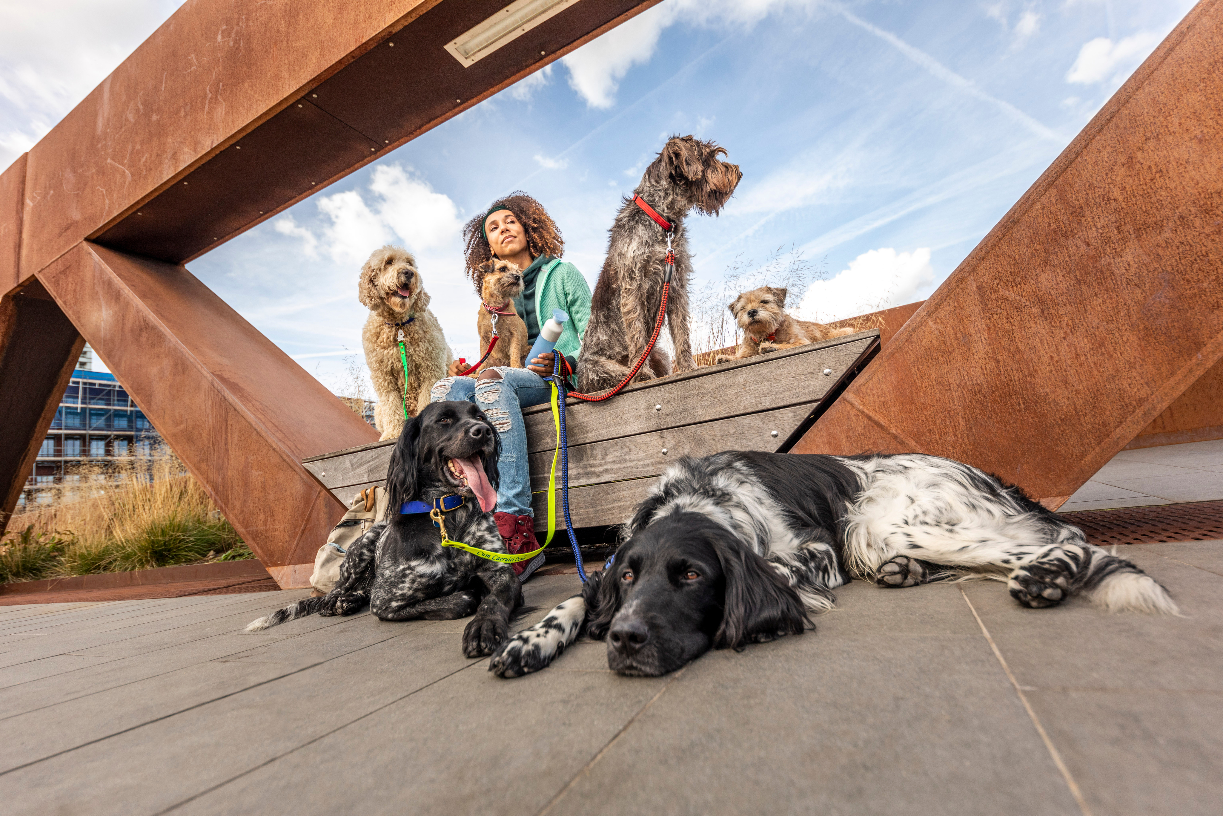 Personne se détendant avec cinq chiens sur un pont Personne assise sur un pont avec cinq chiens sous un ciel bleu