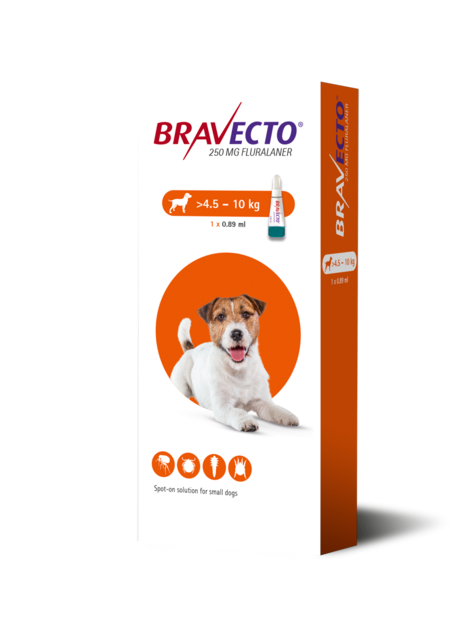 Boîte de Bravecto solution pour spot-on (250 mg fluralaner) pour petits chiens pesant entre 4,5 et 10 kg.
