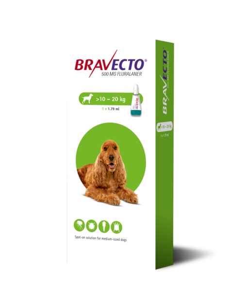 Bravecto Spot-on 500 mg – Chiens moyens Boîte de Bravecto solution pour spot-on (500 mg fluralaner) pour chiens de taille moyenne pesant entre 10 et 20 kg.