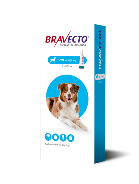 Bravecto Spot-on 1000 mg – Grands chiens Boîte de Bravecto solution pour spot-on (1000 mg fluralaner) pour chiens de grande taille pesant entre 20 et 40 kg.