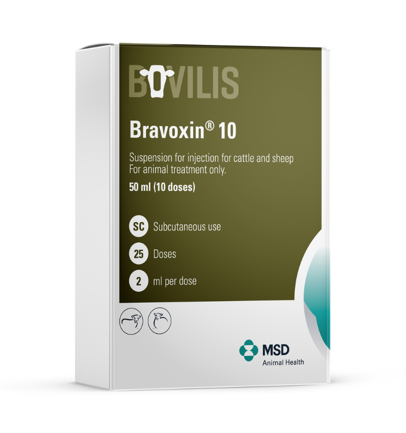 Boîte de Bravoxin 10, suspension injectable pour bovins et ovins (50 ml, 25 doses) par MSD Animal Health.