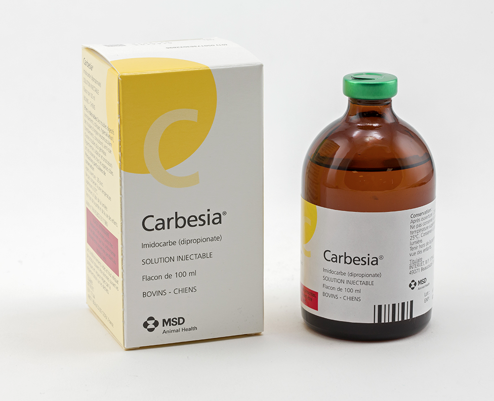 Boîte et flacon de Carbesia (Imidocarbe dipropionate), solution injectable pour bovins et chiens, flacon de 100 ml de MSD Animal Health.