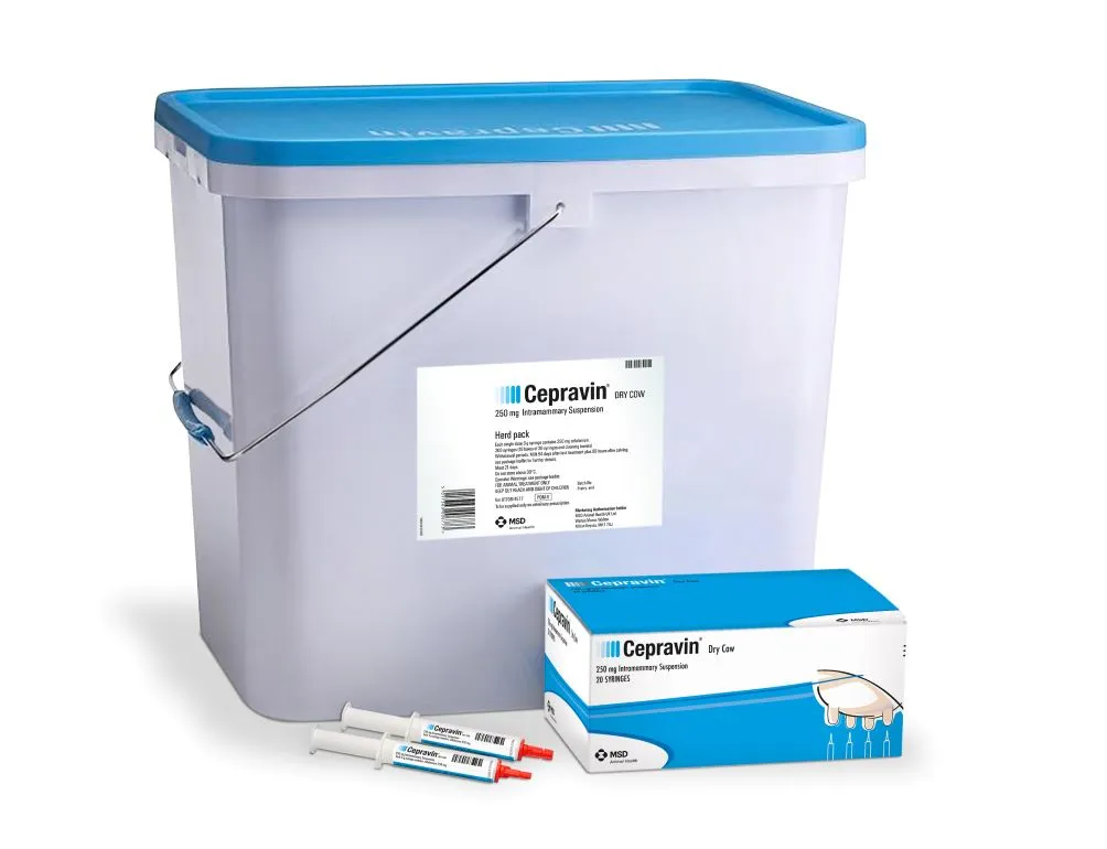 Gamme Cepravin Dry Cow (250 mg de céfalonium) comprenant un seau de pack troupeau (Herd pack), une boîte de 20 seringues intramammaires et des seringues individuelles de MSD Animal Health.