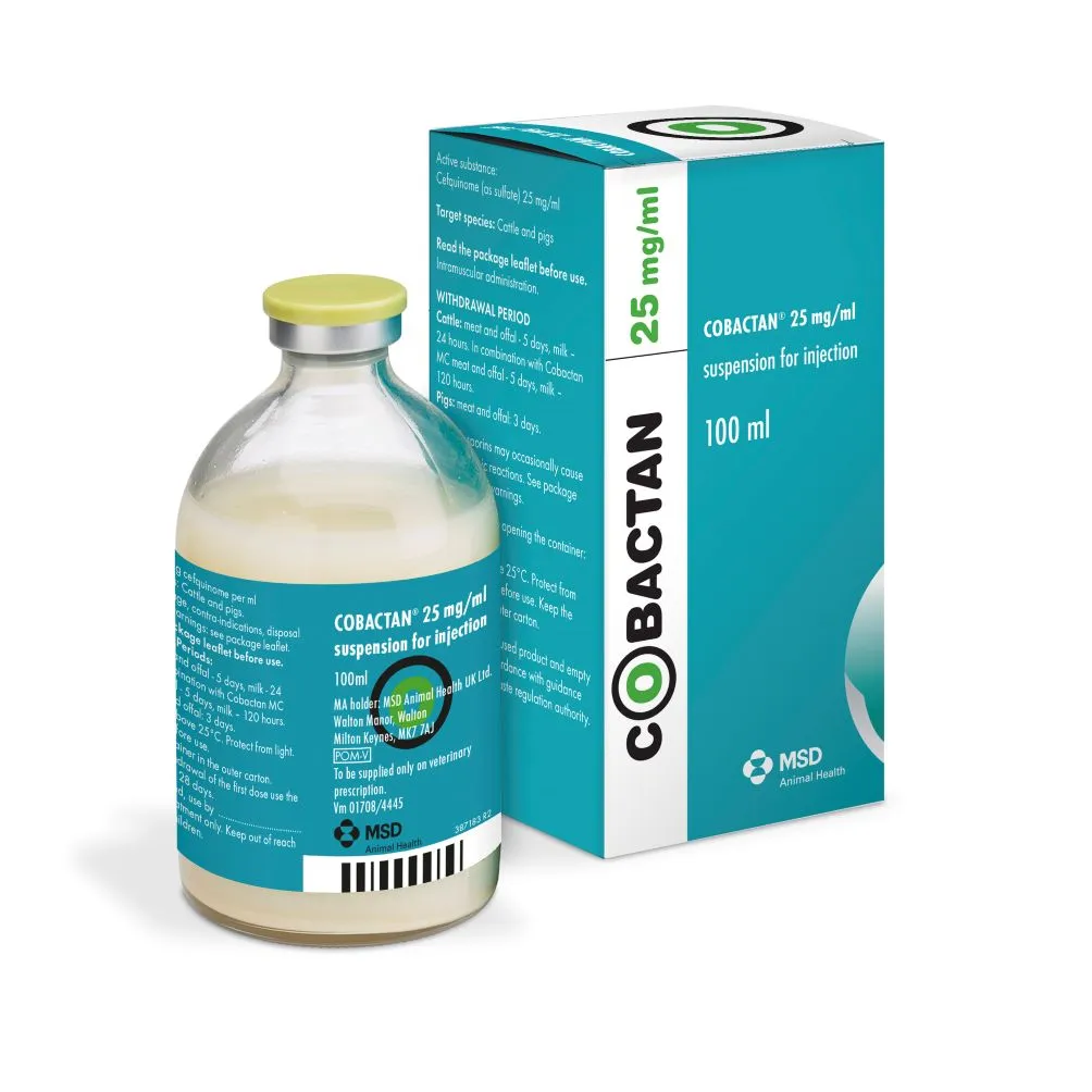 Flacon et boîte de Cobactan 25 mg/ml (cefquinome), suspension injectable pour bovins et porcs, 100 ml de MSD Animal Health.