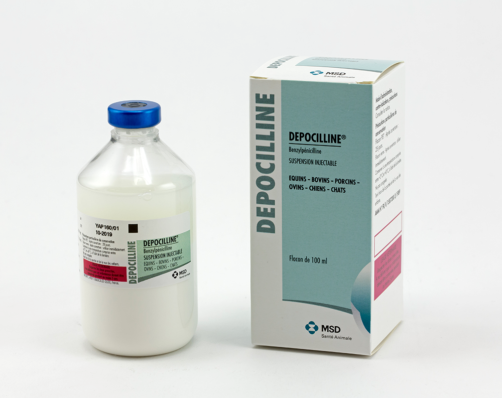 Flacon et boîte de Depocilline (benzylpénicilline), suspension injectable pour chevaux, bovins, porcs, moutons, chiens et chats, 100 ml de MSD Santé Animale.