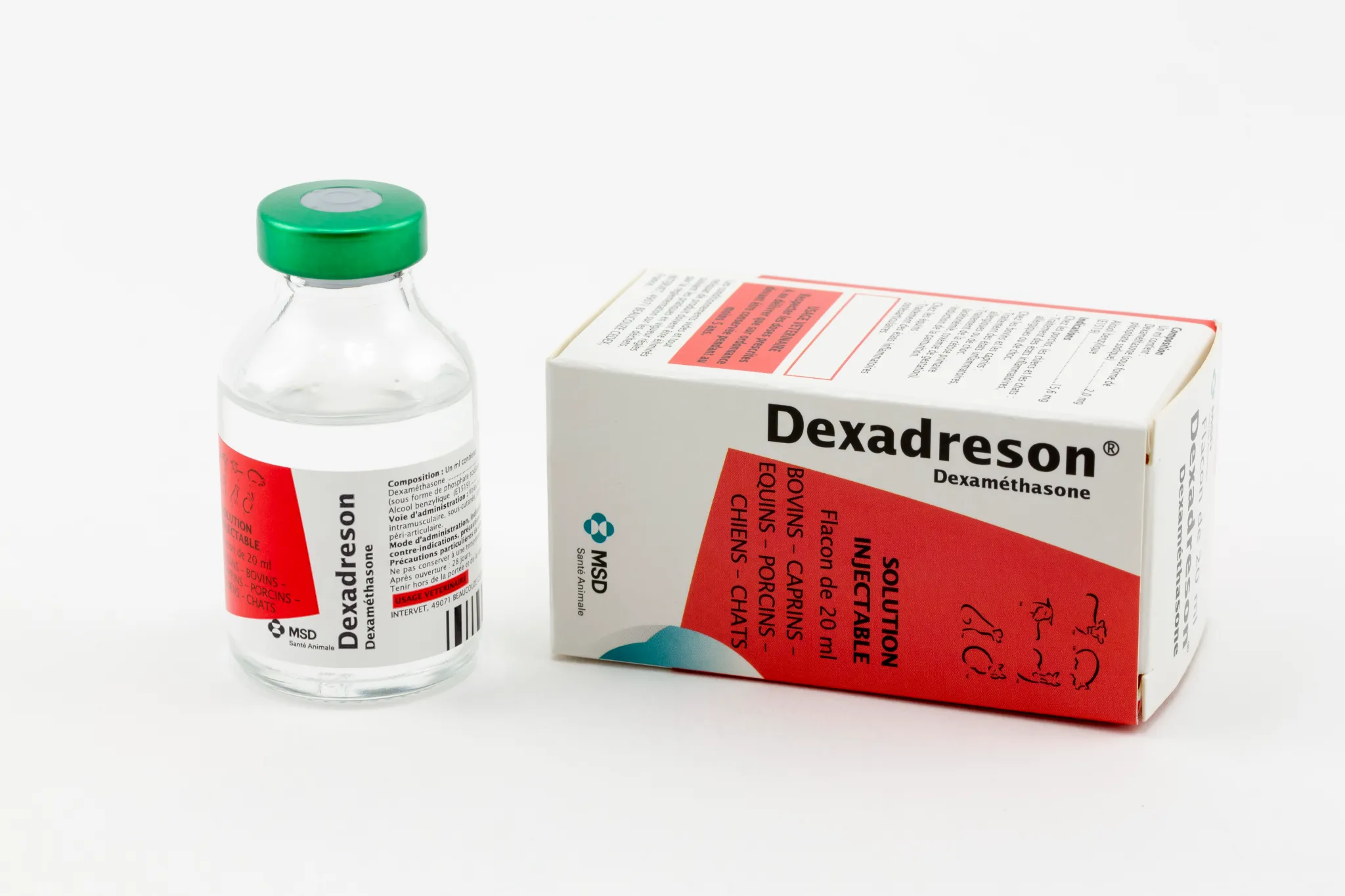 Flacon et boîte de Dexadreson (dexaméthasone), solution injectable de 20 ml pour bovins, équins, porcins, chiens et chats.