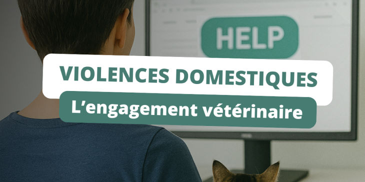 Violences domestiques, l’engagement du secteur vétérinaire britannique