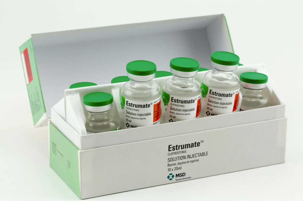 Boîte de Caninsulin (insuline porcine), suspension injectable 40 UI/ml, boîte de 10 flacons de 2,5 ml pour chiens et chats de MSD Santé Animale.