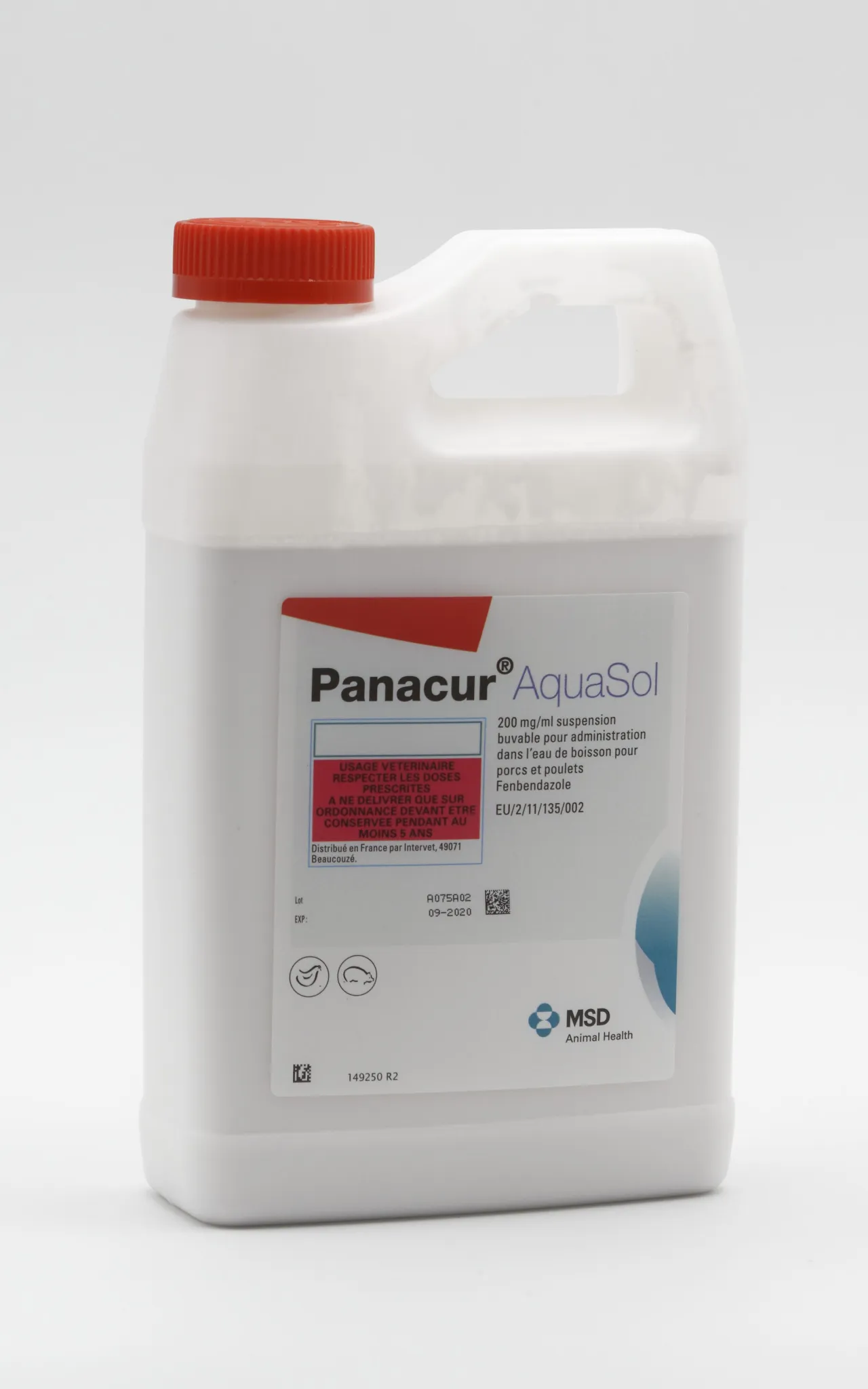 Boîte de Panacur 500 mg pour chiens, contenant 100 comprimés sécables à base de fenbendazole, avec un échantillon de plaquette alvéolée, par MSD Santé Animale.