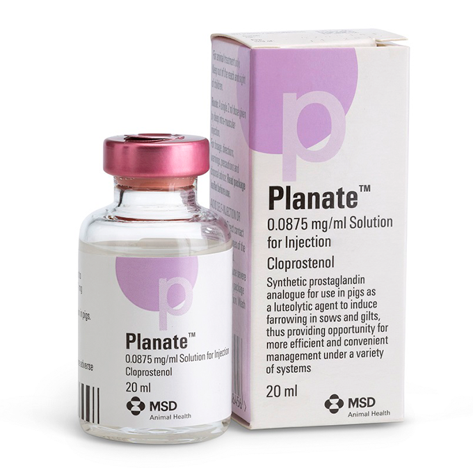 Flacon et boîte de Planate 0,0875 mg/ml solution injectable de cloprosténol pour porcins MSD Santé Animale