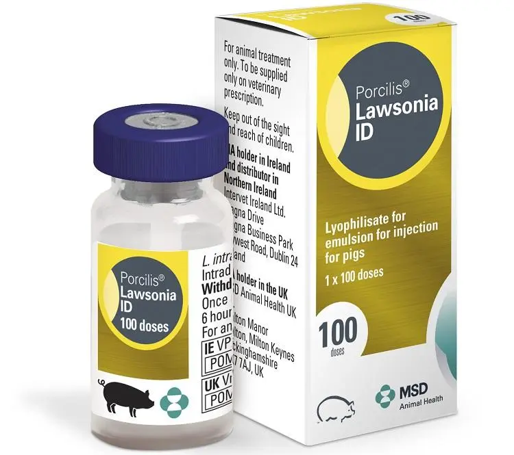 Boîte et flacon de Porcilis Lawsonia ID lyophilisat pour émulsion injectable pour porcs MSD Santé Animale 100 doses
