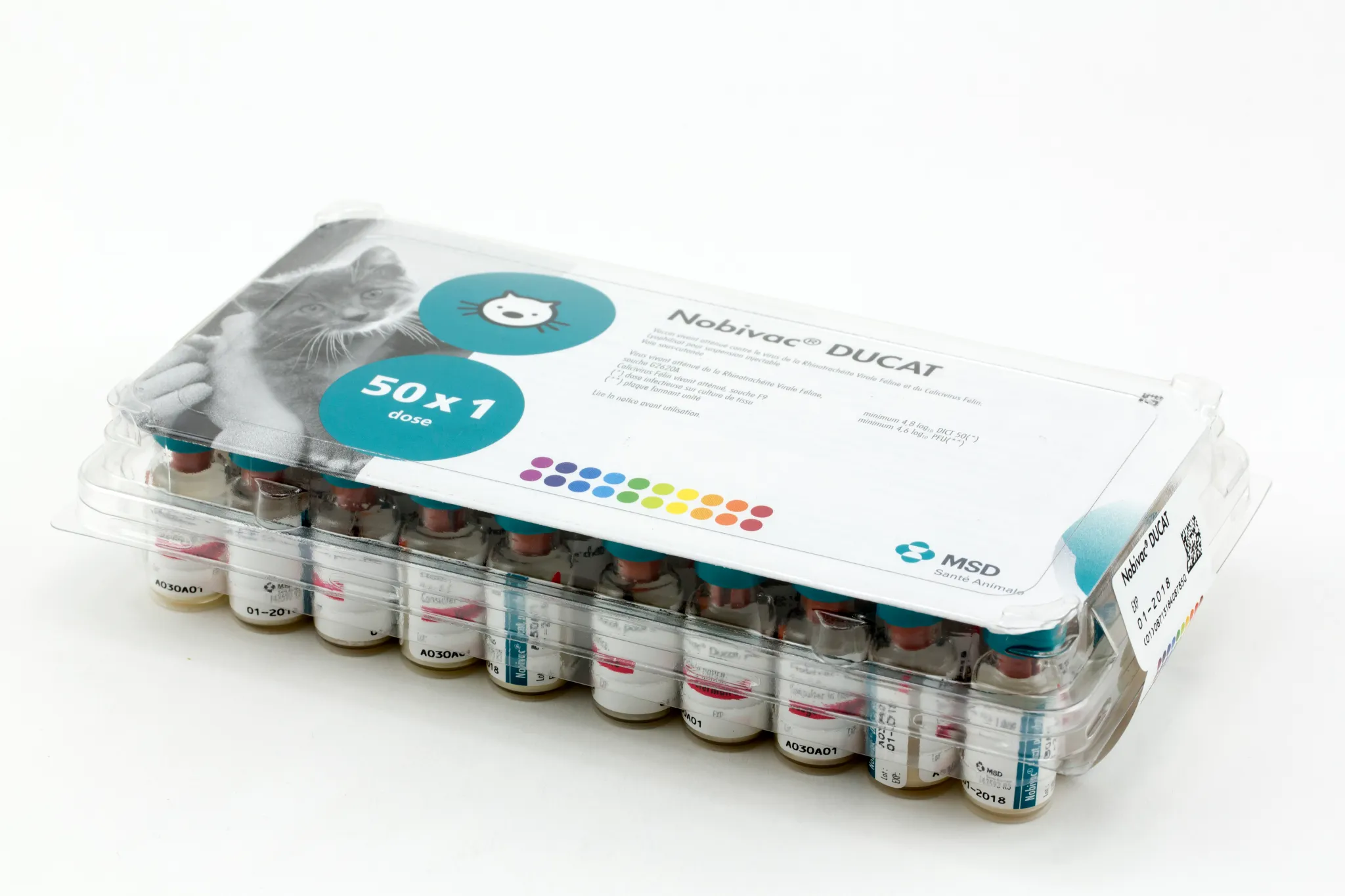 Boîte de 50 doses de Nobivac Ducat vaccin vivant lyophilisé pour chats MSD Santé Animale