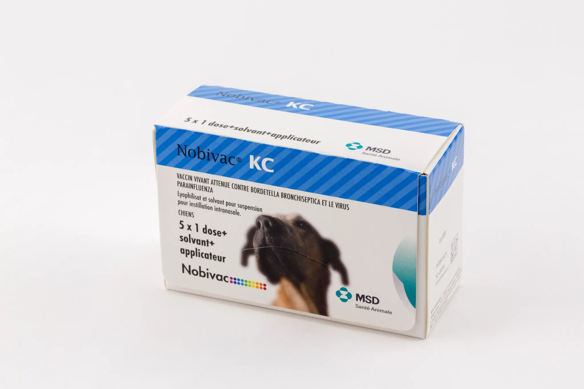 Boîte de Nobivac KC vaccin vivant atténué pour chiens contre Bordetella et Parainfluenza MSD Santé Animale