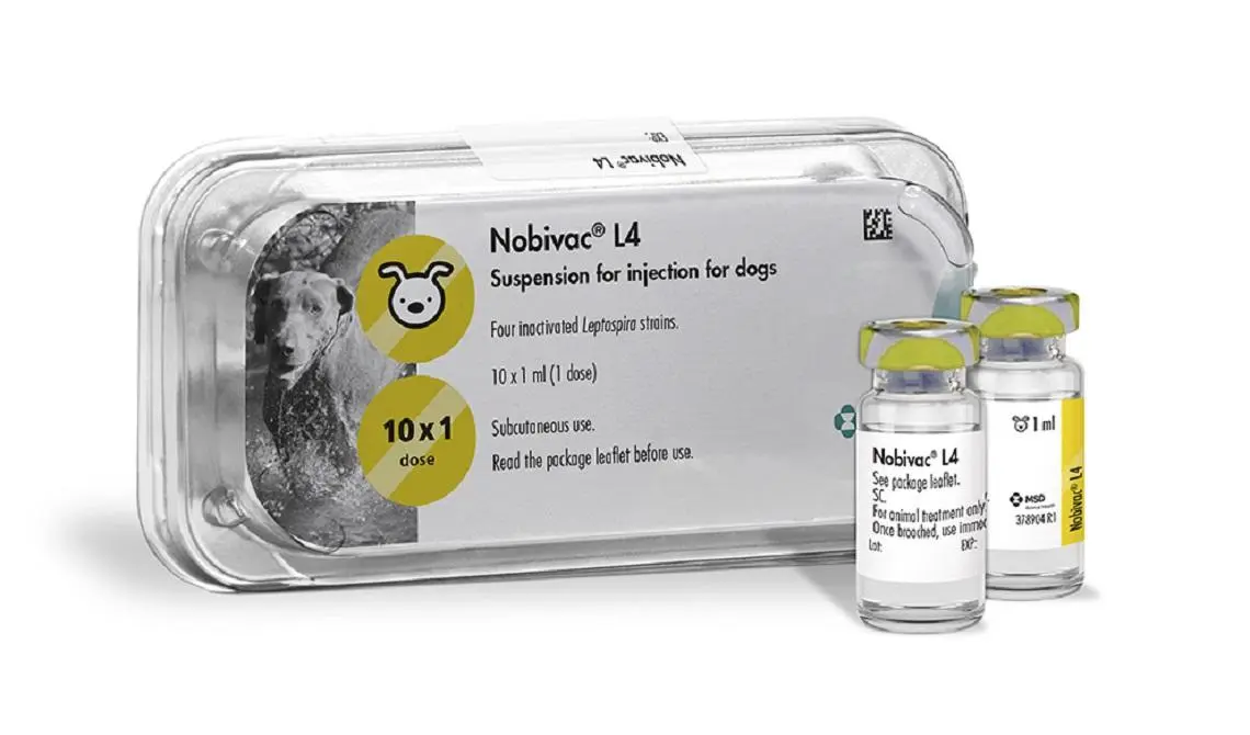 Pack de 10 doses de Nobivac L4 suspension injectable pour chiens contre la leptospirose MSD Santé Animale