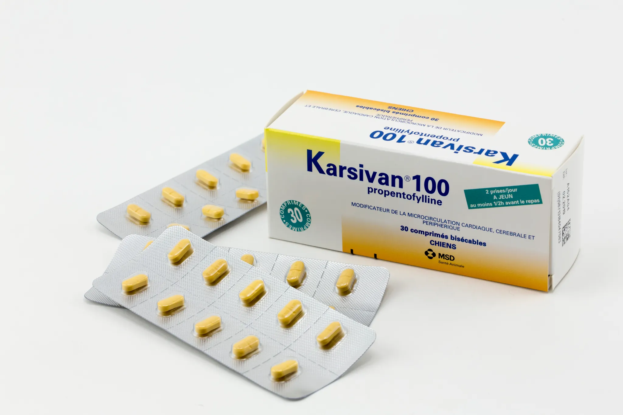 Boîte et plaquettes de Karsivan 100 comprimés bisécables à la propentofylline pour chiens MSD Santé Animale