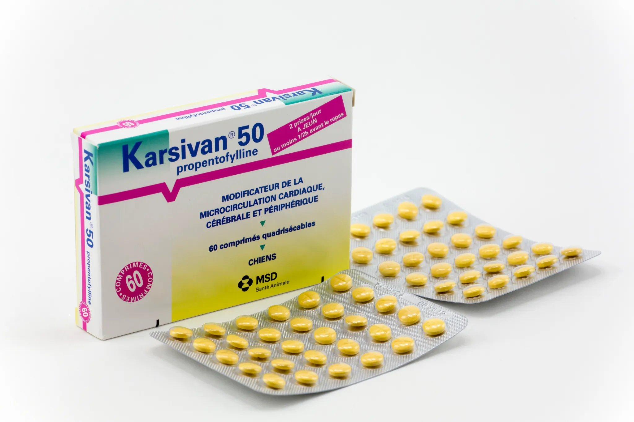 Boîte et plaquettes de Karsivan 50 comprimés quadrisécables à la propentofylline pour chiens MSD Santé Animale