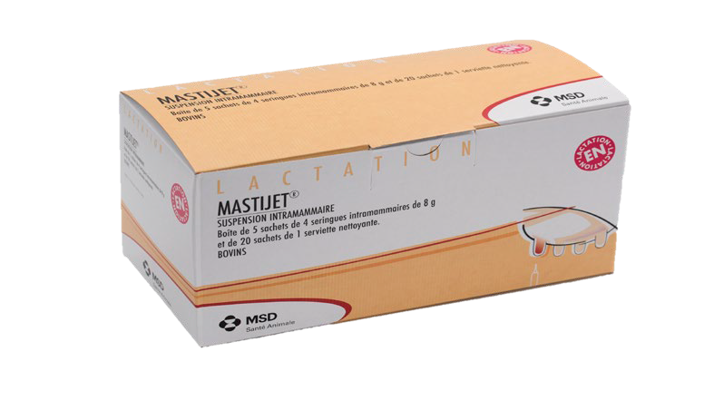 Boîte de Mastijet suspension intramammaire pour bovins en lactation MSD Santé Animale