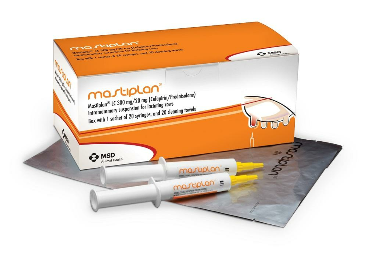 Boîte et seringues de Mastiplan LC 300 mg/20 mg suspension intramammaire pour vaches en lactation (Céfapirine/Prednisolone) MSD Animal Health