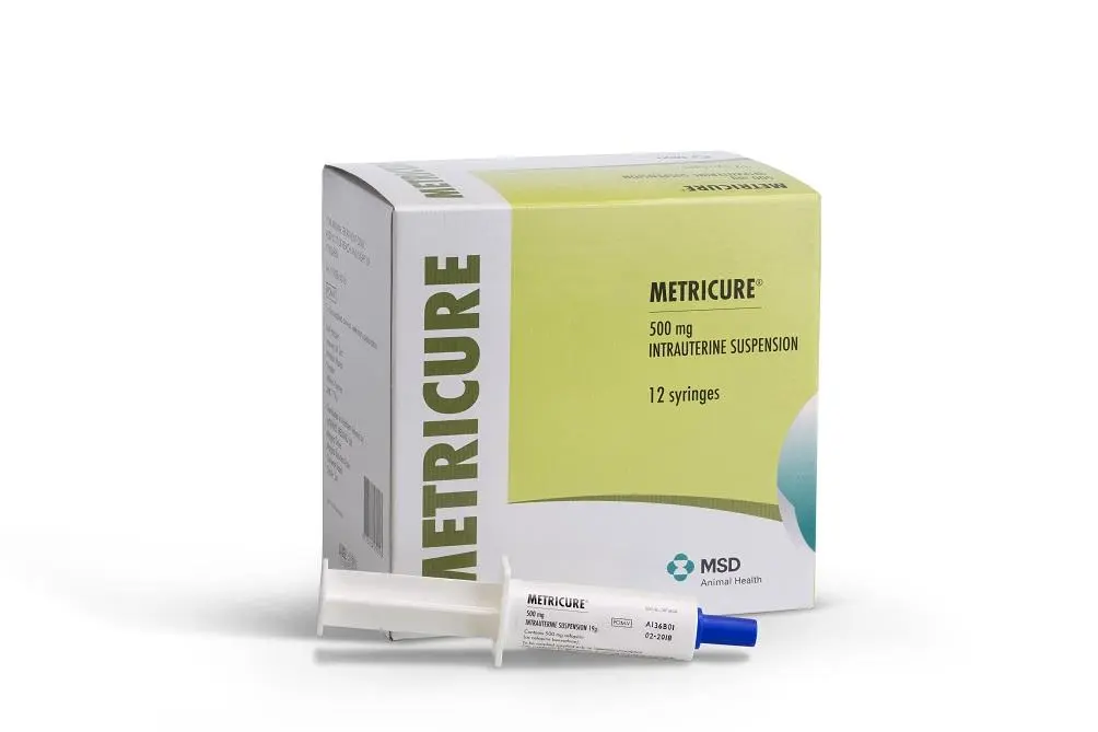 Boîte et seringue de Metricure 500 mg suspension intra-utérine à base de céphapirine pour vaches MSD Animal Health
