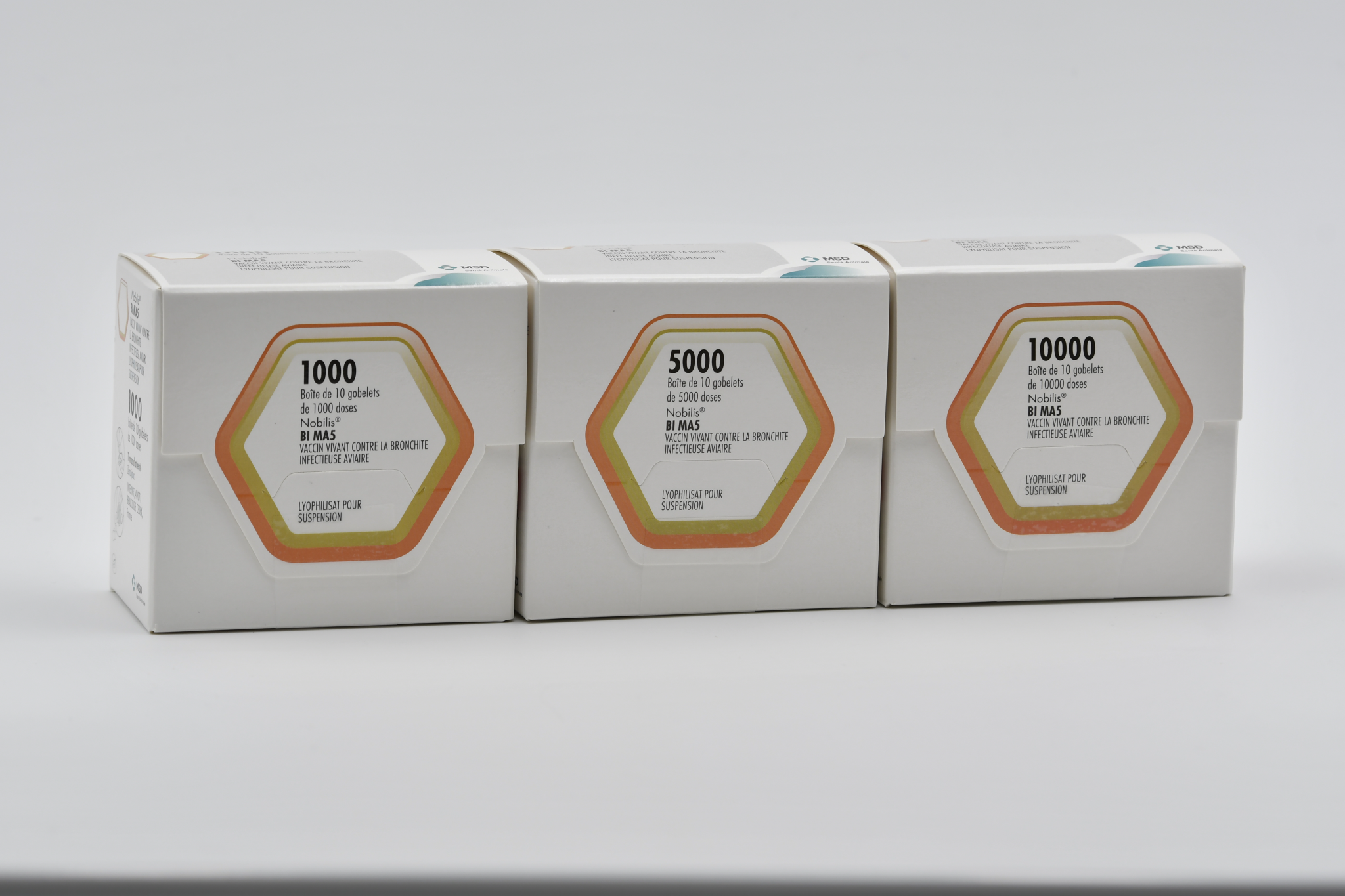 Trois boîtes de vaccins Nobilis BI MA5 (1000, 5000 et 10000 doses) lyophilisat pour suspension contre la bronchite infectieuse aviaire MSD Santé Animale