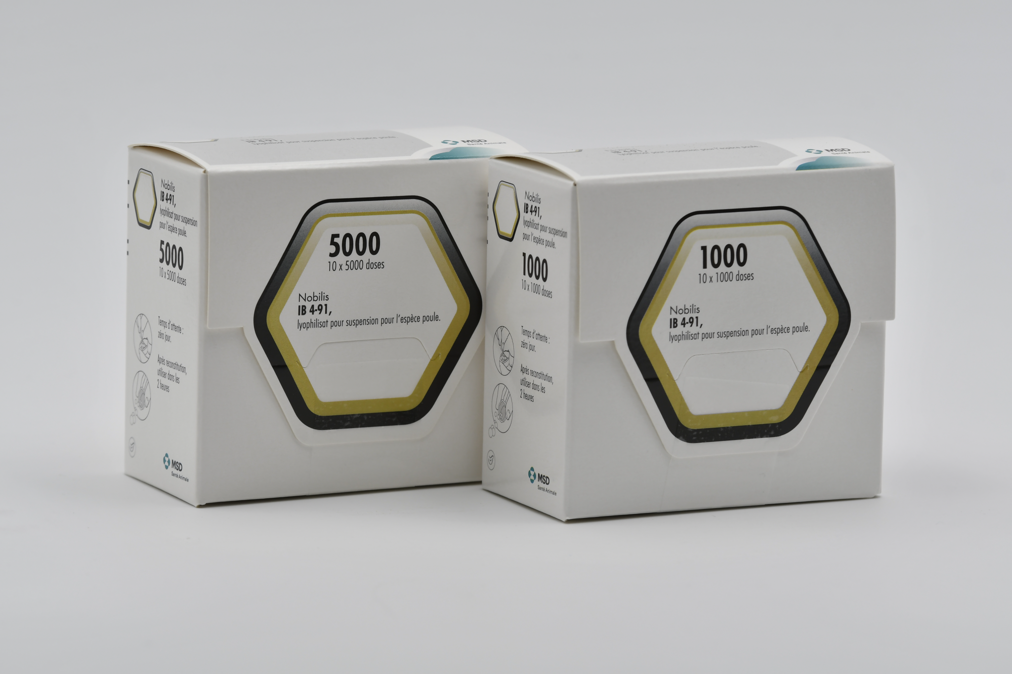Deux boîtes de vaccins Nobilis IB 4-91 (5000 et 1000 doses) lyophilisat pour suspension contre la bronchite infectieuse aviaire MSD Santé Animale.