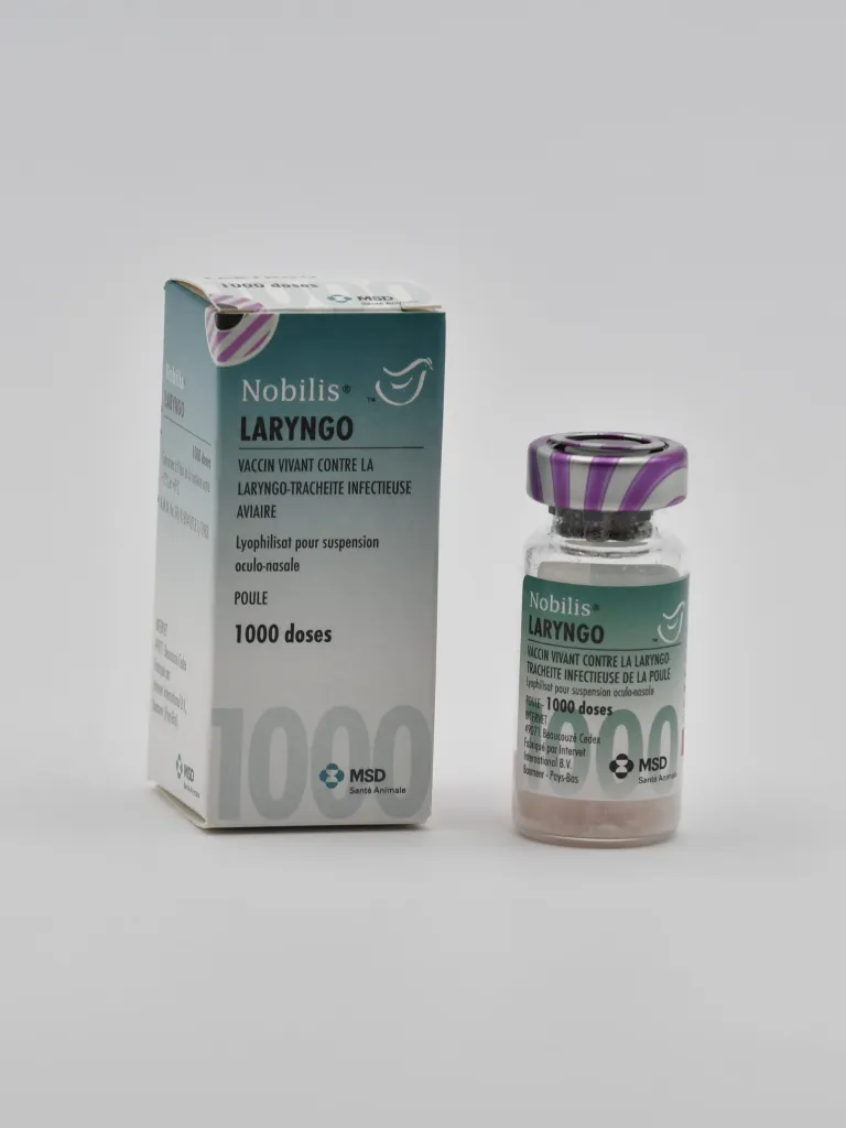 Flacon et boîte de Nobilis Laryngo, vaccin vivant contre la laryngo-trachéite infectieuse aviaire (1000 doses) pour poules MSD Santé Animale.