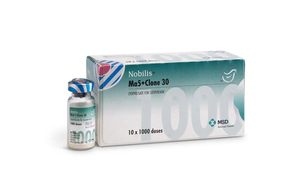 Flacon et boîte de Nobilis Ma5+Clone 30, vaccin vivant contre la bronchite infectieuse et la maladie de Newcastle (10 x 1000 doses) pour poules MSD Animal Health.