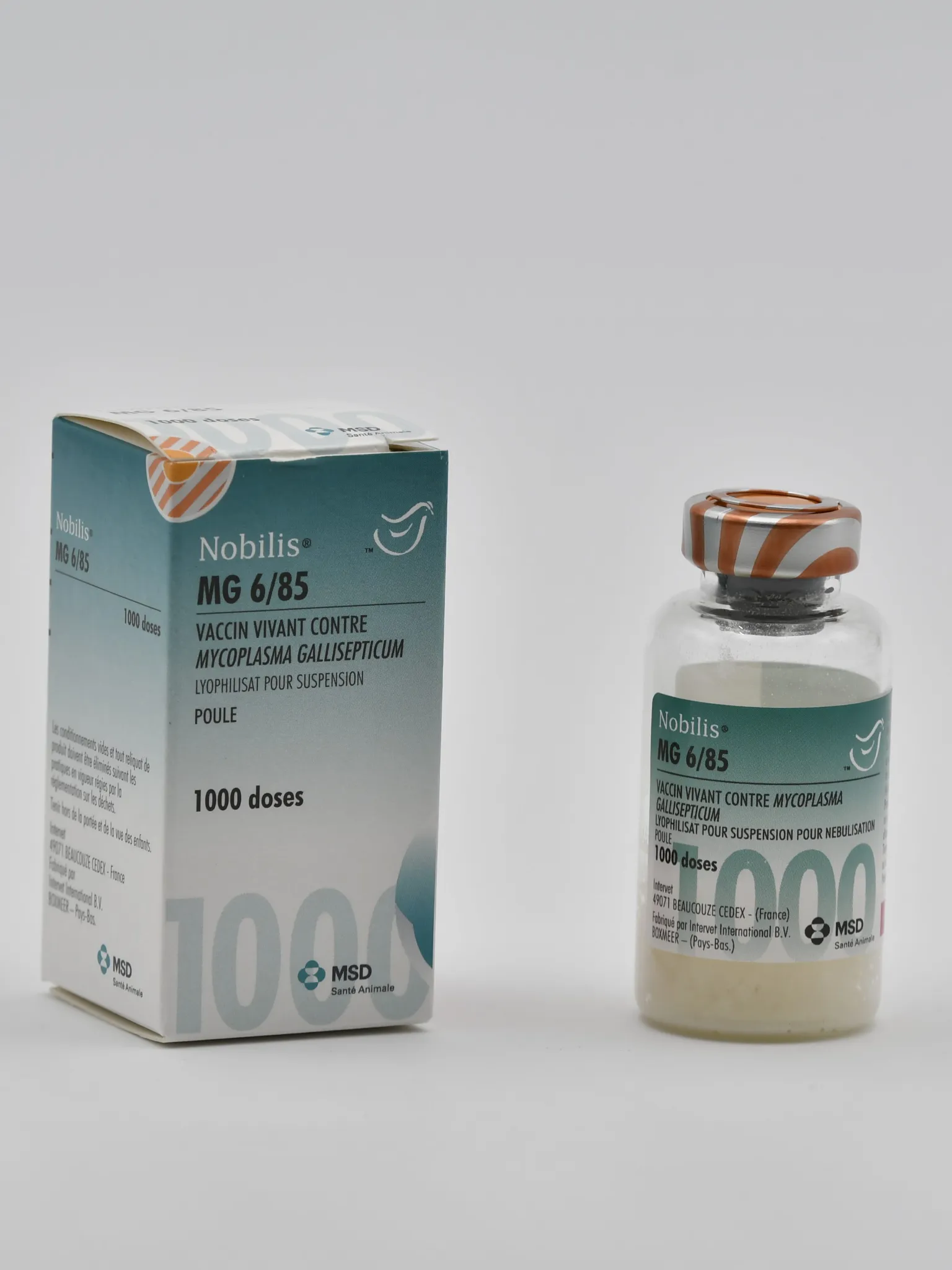 Flacon et boîte de Nobilis MG 6/85, vaccin vivant contre Mycoplasma gallisepticum (1000 doses) pour poules MSD Santé Animale.