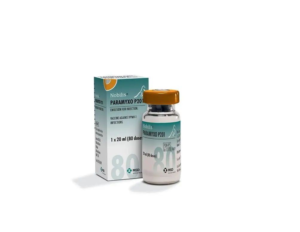 Flacon et boîte de Nobilis Paramyxo P201, vaccin inactivé contre les infections à PPMV-1 (80 doses) pour pigeons MSD Animal Health.