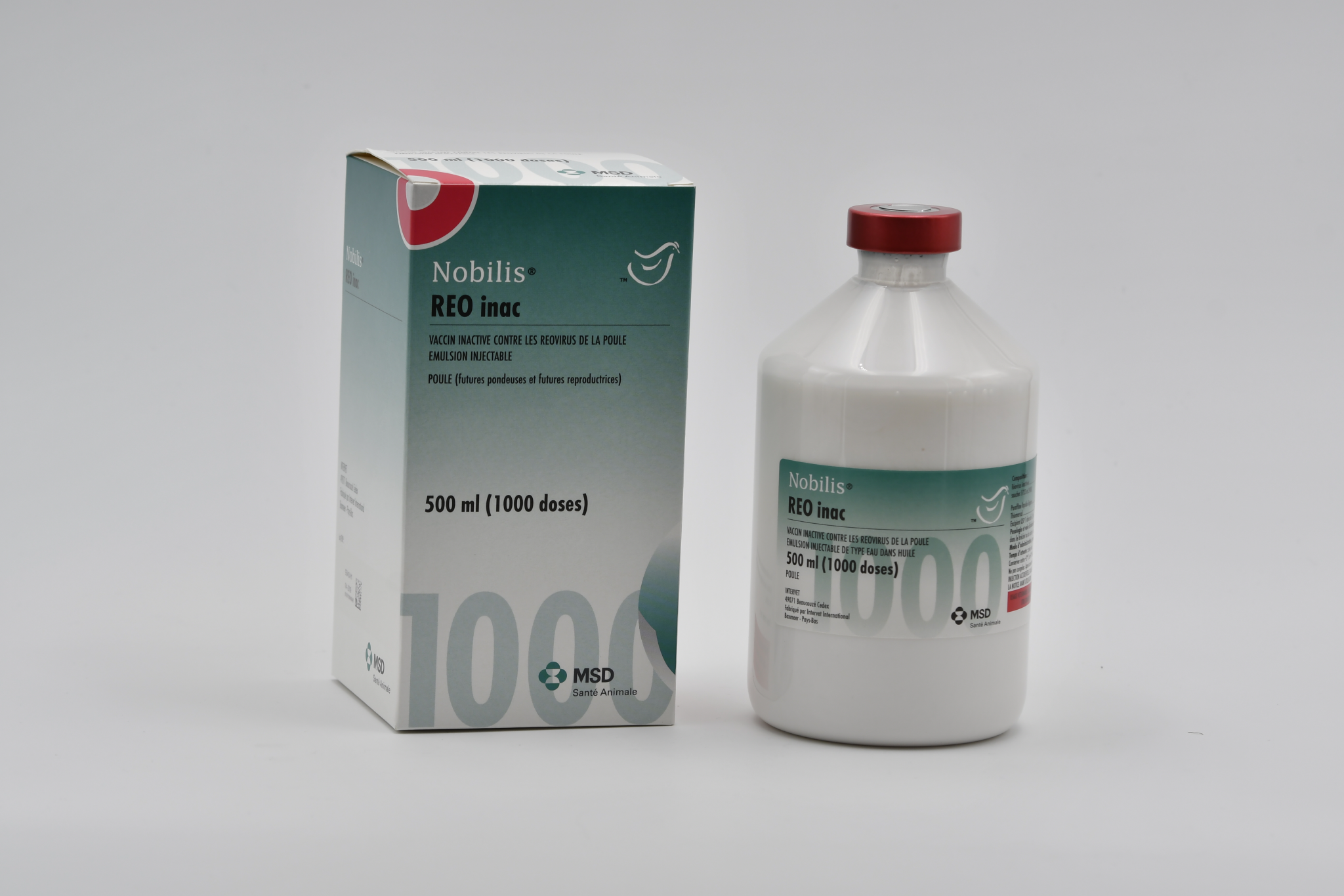 Flacon et boîte de Nobilis REO inac, vaccin inactivé contre les réovirus de la poule (1000 doses) pour futures pondeuses et reproductrices MSD Santé Animale.
