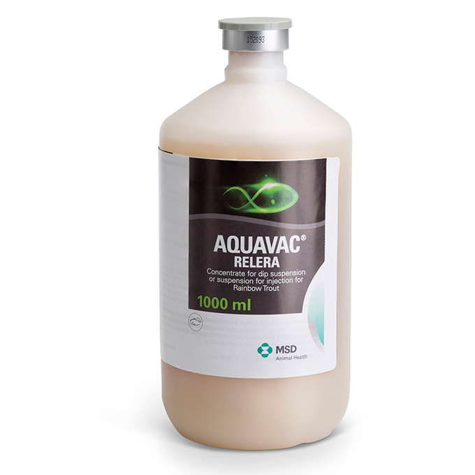 AQUAVAC RELERA Vaccin pour Truites 1000 ml. Flacon d'AQUAVAC RELERA, concentré pour suspension pour immersion ou suspension pour injection pour truites arc-en-ciel (1000 ml) MSD Animal Health.