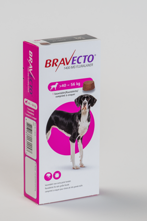 Boîte de Bravecto 500 mg fluralaner, comprimés à croquer pour chiens de taille moyenne pesant entre 10 et 20 kg.