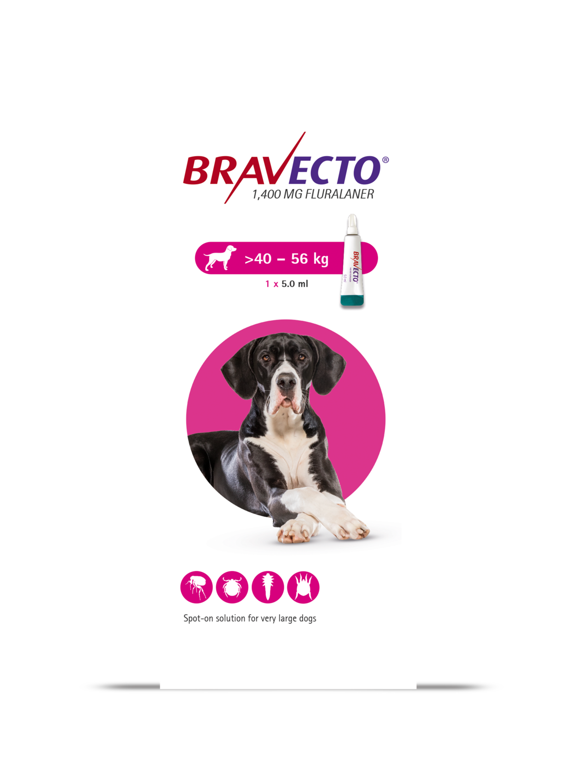 Boîte de Bravecto solution pour spot-on (1400 mg fluralaner) pour chiens de très grande taille pesant entre 40 et 56 kg.