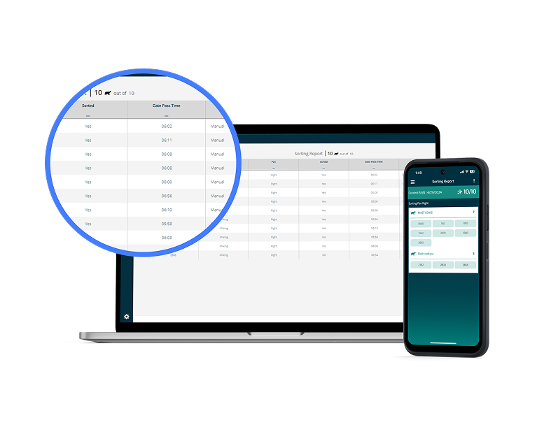 Interface de rapport de tri affichée sur un ordinateur portable et un smartphone.