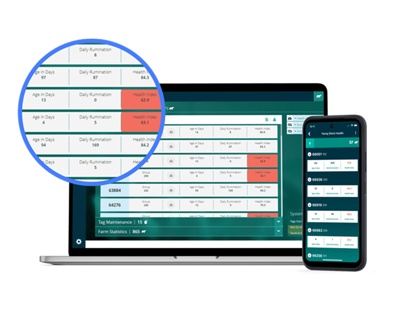 Interface logicielle de gestion d'élevage affichée sur un ordinateur portable et un smartphone.