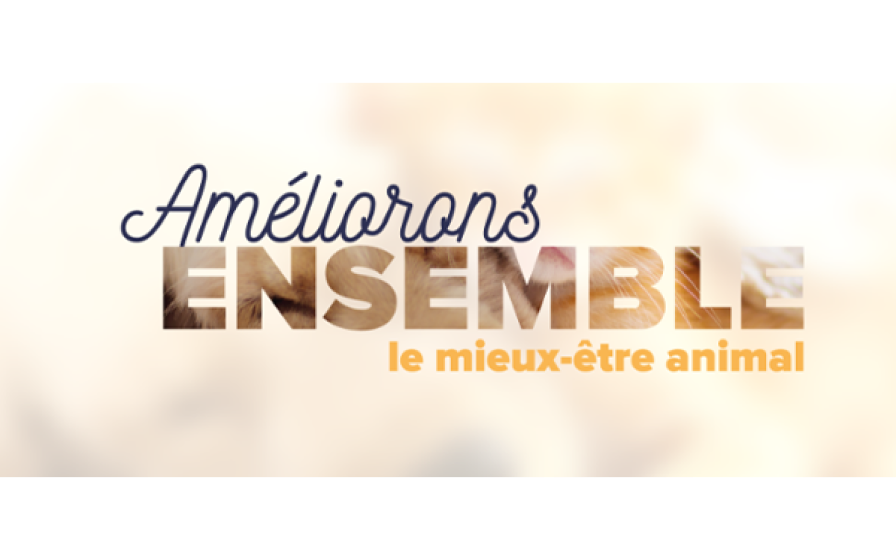 Slogan Mieux-être Animal – MSD Santé Animale Slogan "Améliorons ENSEMBLE le mieux-être animal" avec un effet de texte rempli par une image de pelage d'animal.