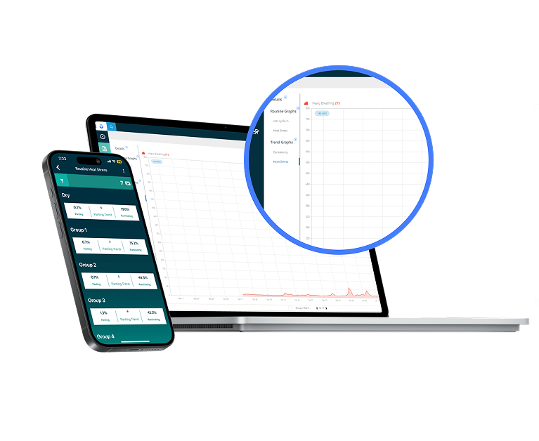 Ordinateur portable et smartphone affichant des graphiques de stress thermique et des données de santé animale.